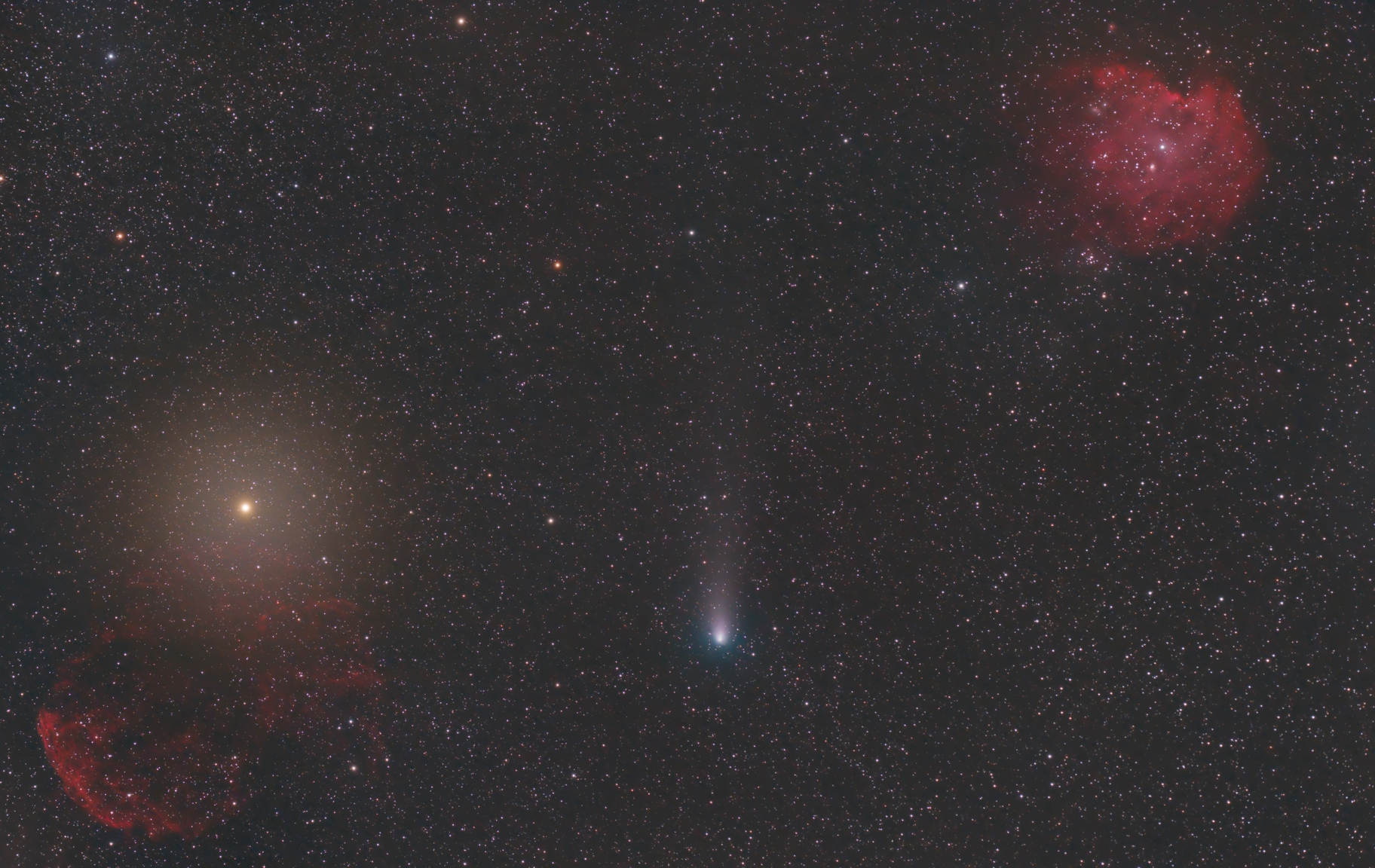 21P Giacobini-Zinner,                    Bradisback