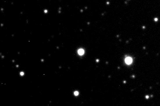 Stars-with-RCC1-Newtonf45.jpg