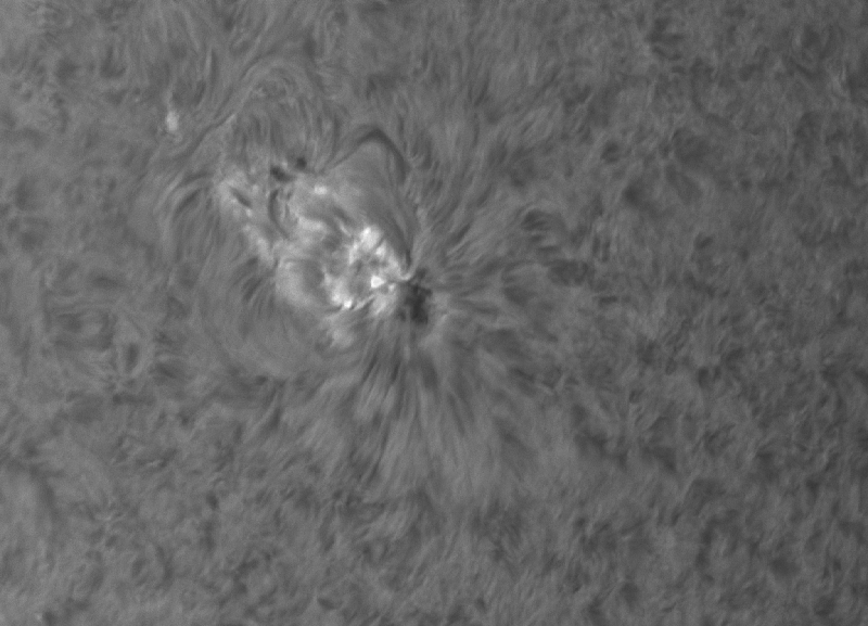 Sun_091004_lapl3_ap568_conv_aligned_pipp