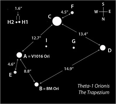 Trapezium-diagram-J-Lodigruss-v2.jpg