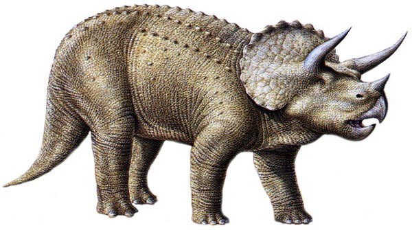 Triceratops-Facts_1713.jpg