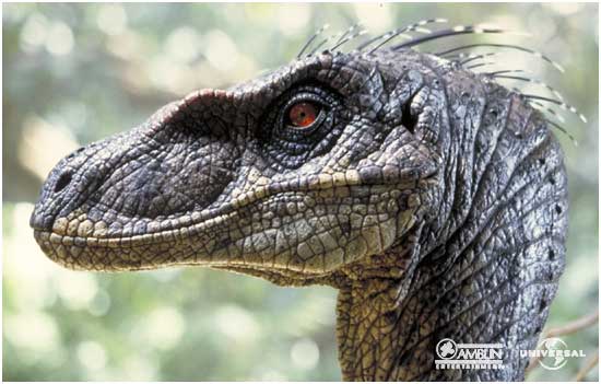 Velociraptor_portrait.jpg