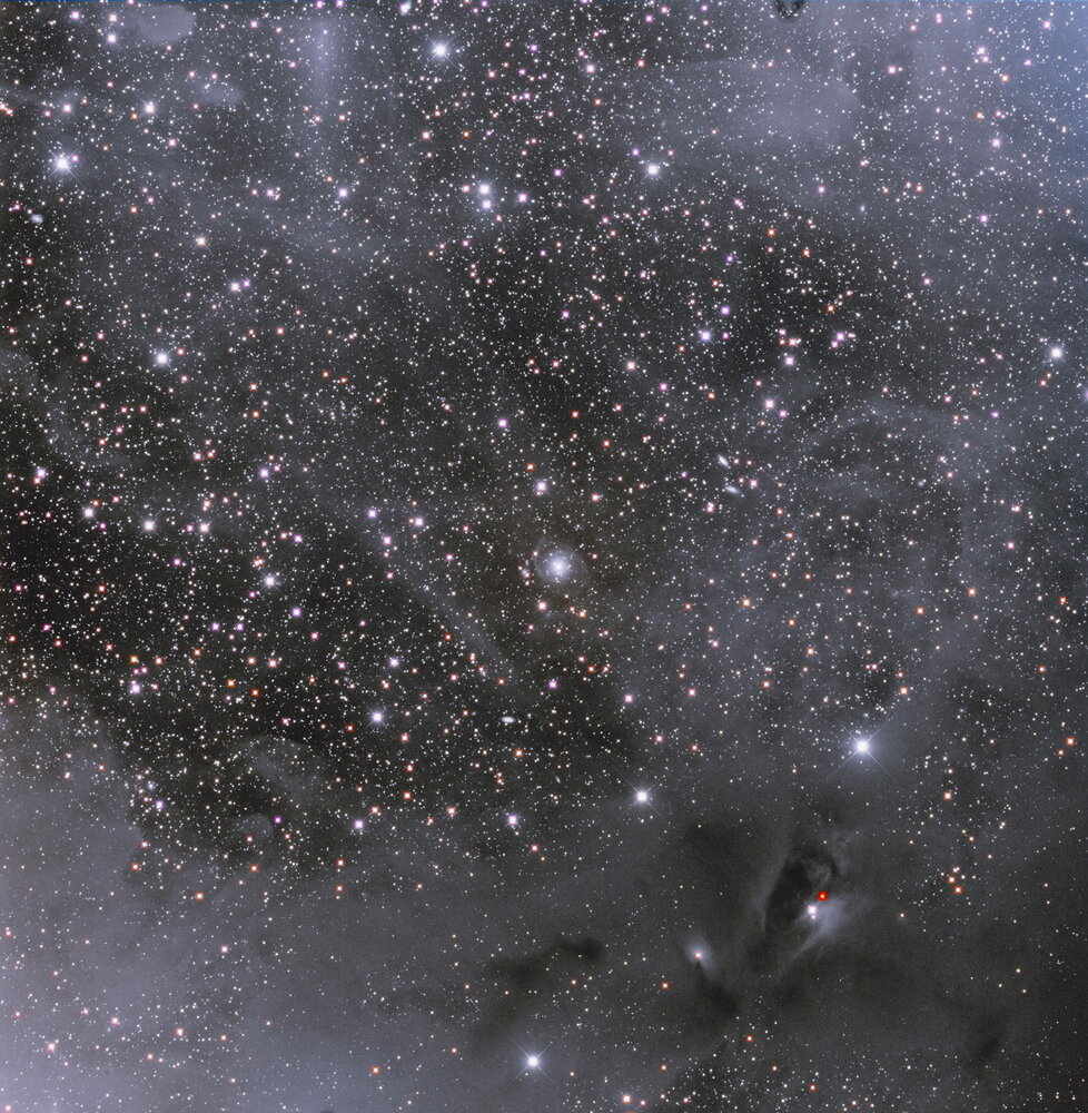 kevin_202011-ic359-lrvb-f1250-e-eye-3.jp