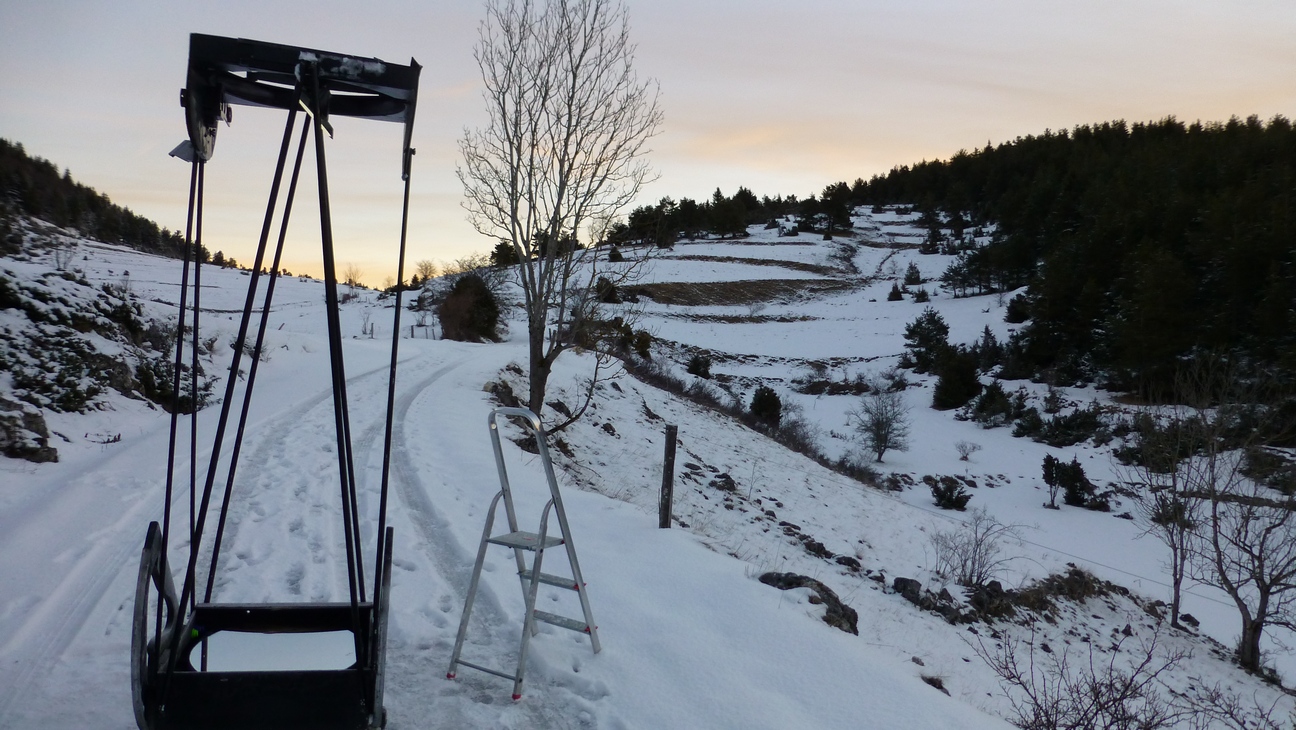 P1000103b.jpg?psid=1