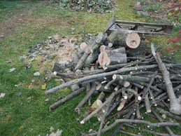 images?q=tbn:ANd9GcSsqvtNSMK68l4N3fE1t_nWUbYPUS6C6mEyU9j3lVA49Q4rNQPL