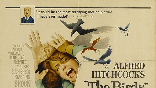 affiche-film-les-oiseaus-hitchcock_832177.jpg