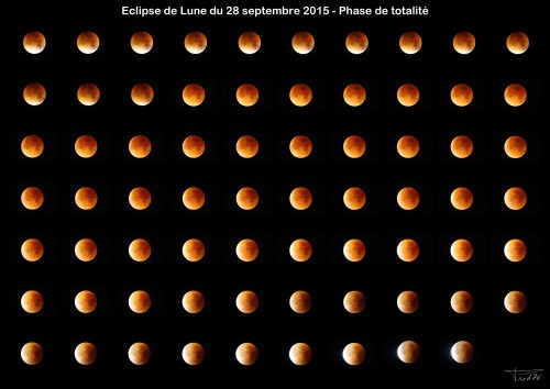 file.php?id=1113&t=1