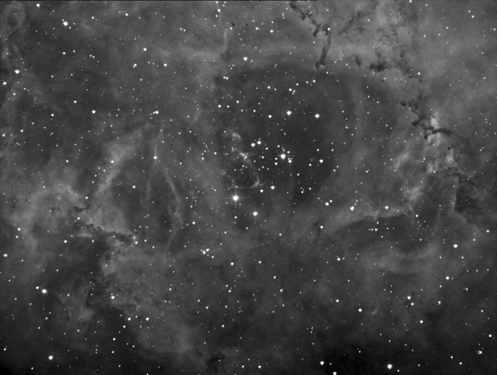 rosette_18_2_2015boost.jpg?psid=1