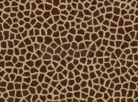 6557959-girafe-fourrure-transparente-de-la-texture-motif-de-la-girafe-arri-re-plan-d-coratif.jpg?ver=6