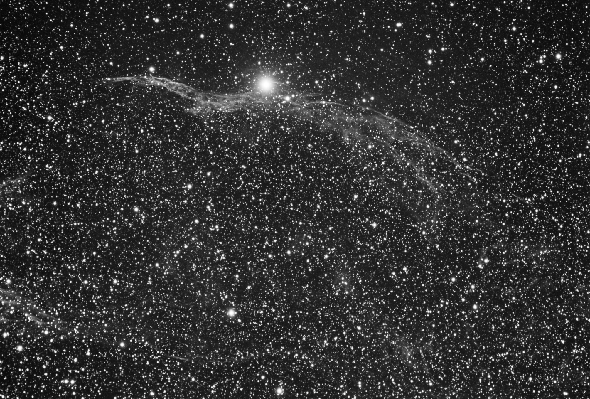 petitedentells1.jpg?dl=1