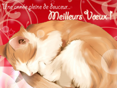 bonna-annee-chat-2.jpg