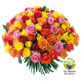 bouquet-de-roses-multicolores-100-roses-2953-266.jpg
