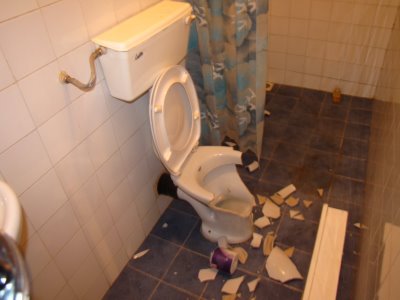 broken_toilet.jpg