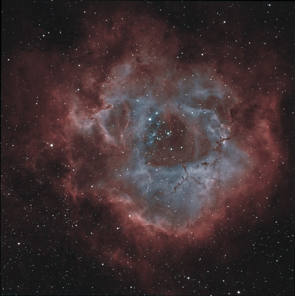 NGC%202237%20HOO%202%20petite.jpg?dl=1