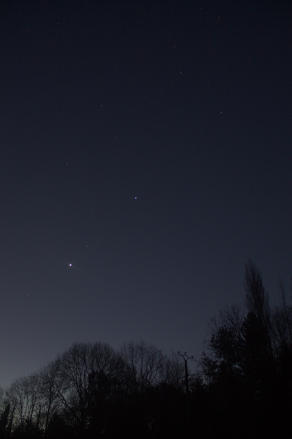 Lion%20Juju%20mars%20venus%20petite.jpg?dl=1