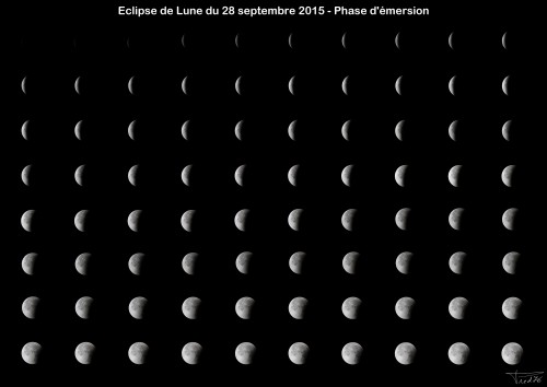 file.php?id=1114&t=1