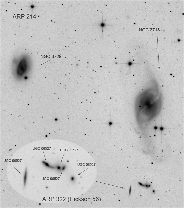 arp214_neg.jpg?psid=1
