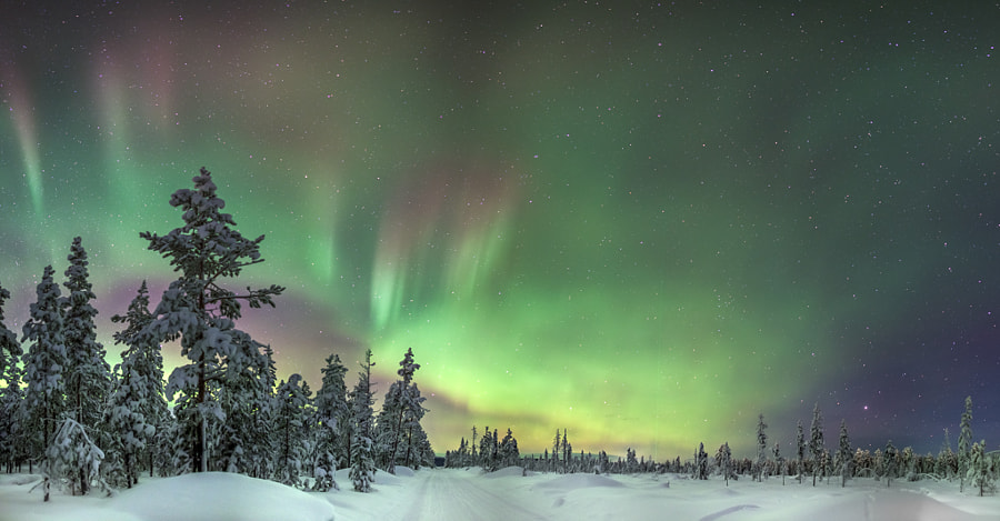 f1eef5373569aaccd4cf068ac15525e6