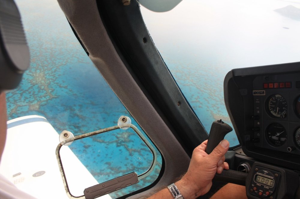 IMG_8145%20%5B1024x768%5D.JPG?psid=1