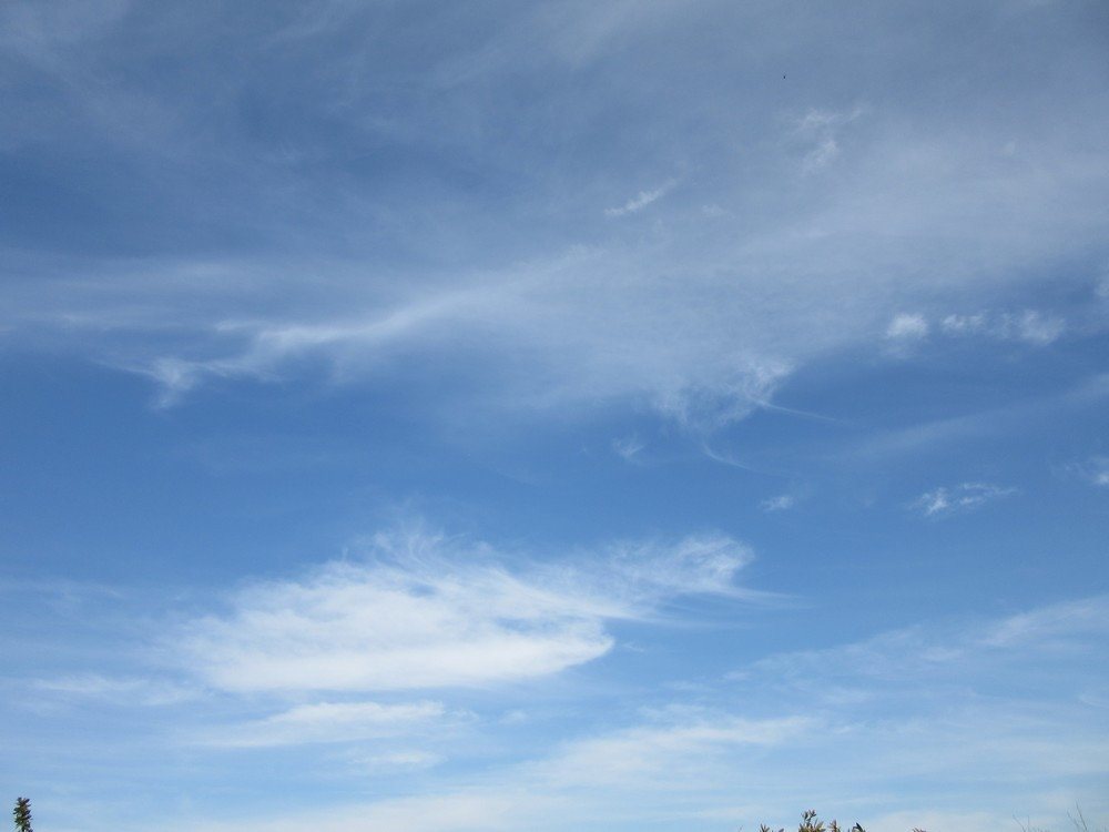 cdm.jpg.4479722f04d46b6a211cae73392cd772