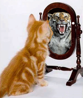 chat-syndrome-tigre.gif