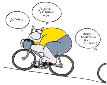 chat-veloGeluck_Embrun2008.jpg