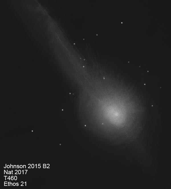 comete_johnson2015B2_17.jpg