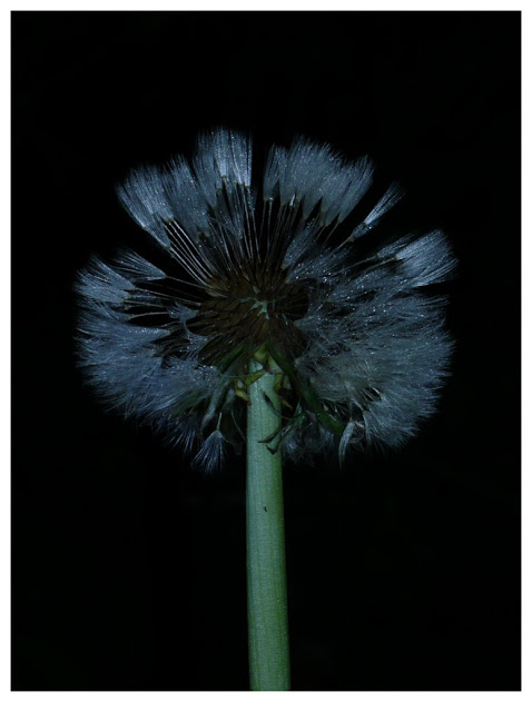 XGPPJVxCZeExeTiTUa75UErM6Q52JxKJyx0TqWaz