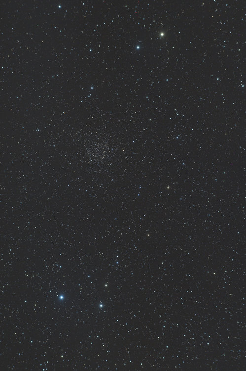 rose_apn_lulu.jpg?psid=1