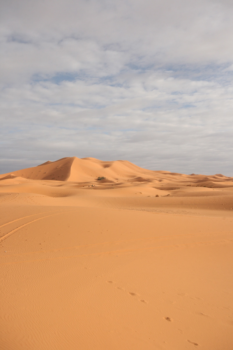 dunes3.jpg