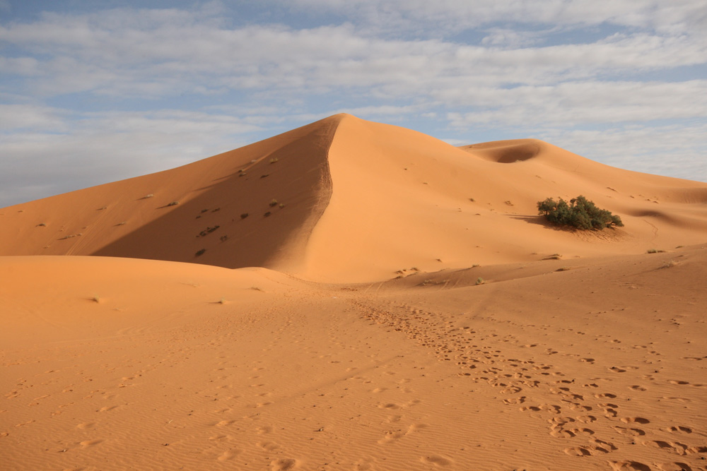 dunes4.jpg