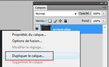 duplication_calque_2.jpg