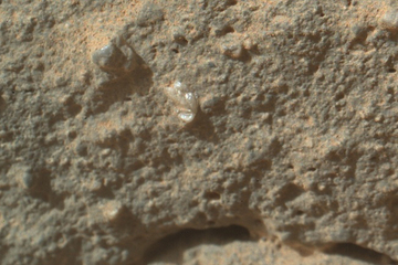 mars-flower-curiosity-closeup.jpg?1357402238
