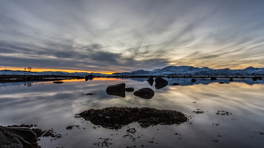 7566bd387912a8ebc8562845162592b9