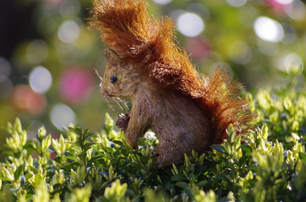 Pentacon / Meyer Optik Gorlitz Orestogor 135mm F2.8 Preset Lens ...