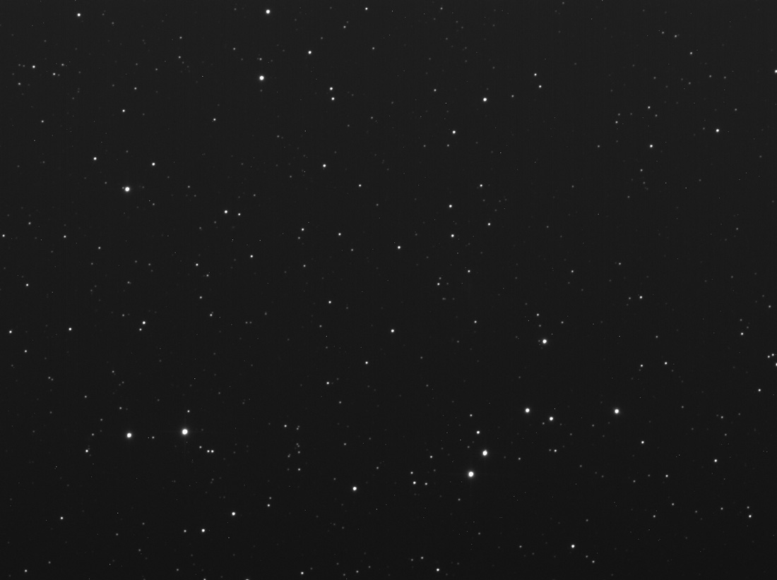 brute_ugc12632.jpg?psid=1