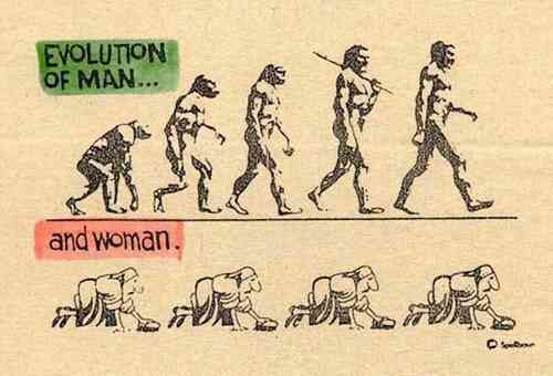 evolution.jpg_2207.jpg