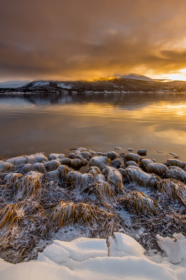 b13173b8e1f0dc3b678c3f70d093df6a