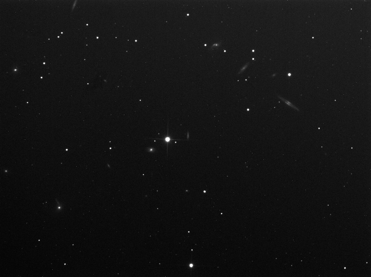 brute4005.jpg?psid=1