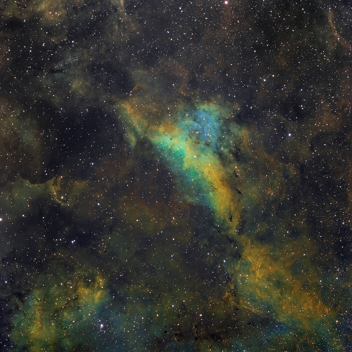 ic1318-Lum-SIIHaOIII-5-30.jpg