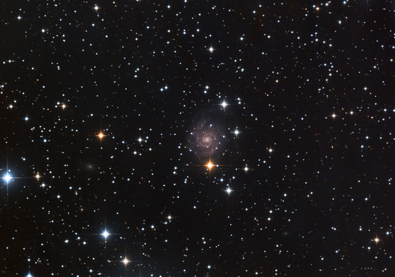 ic239-75.jpg