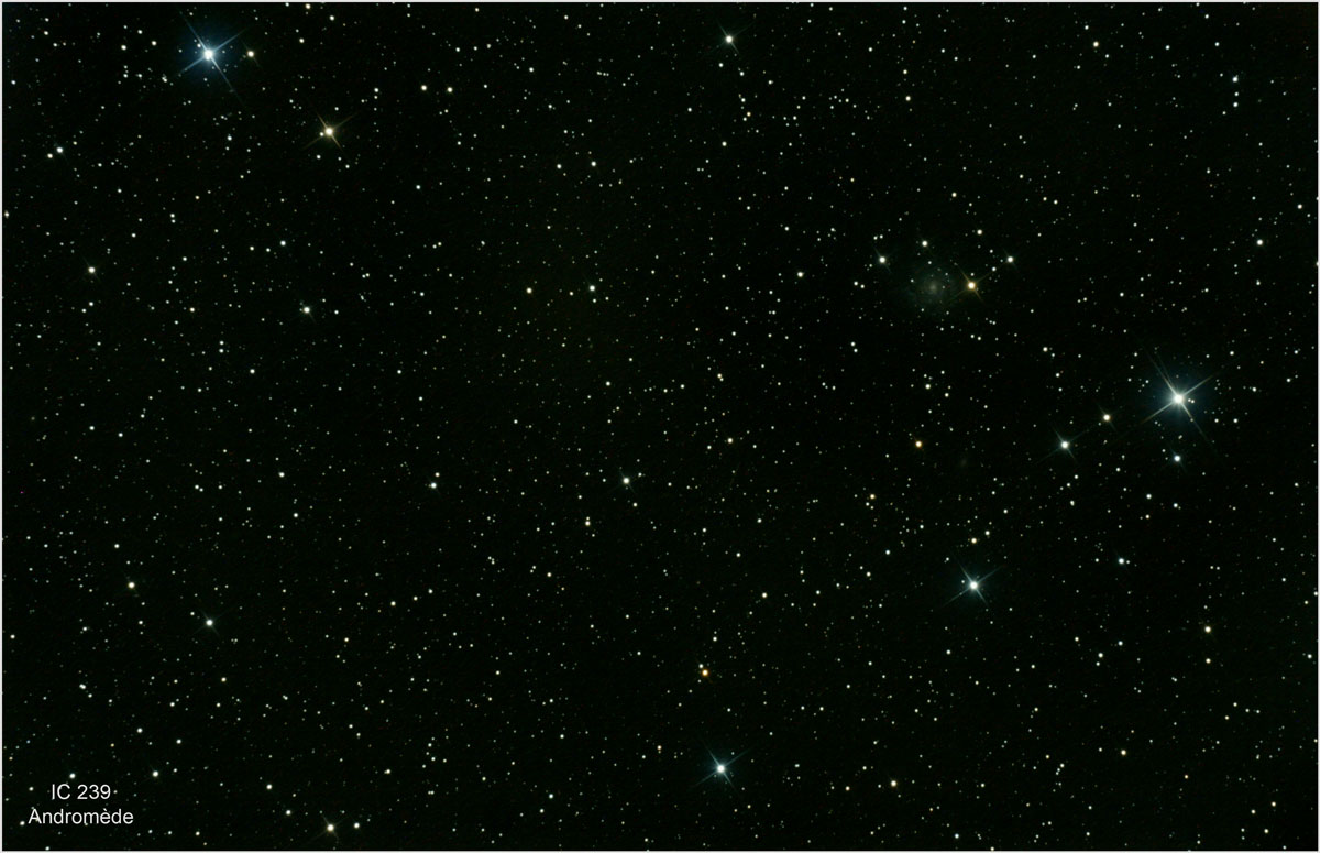 ic239.jpg