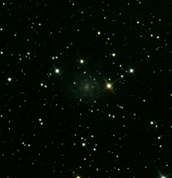 ic239_det.jpg