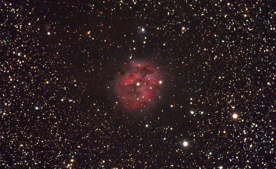 ic5146-38x3mn-2012-2013-ps2.jpg