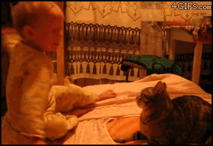 image-drole-chat.gif