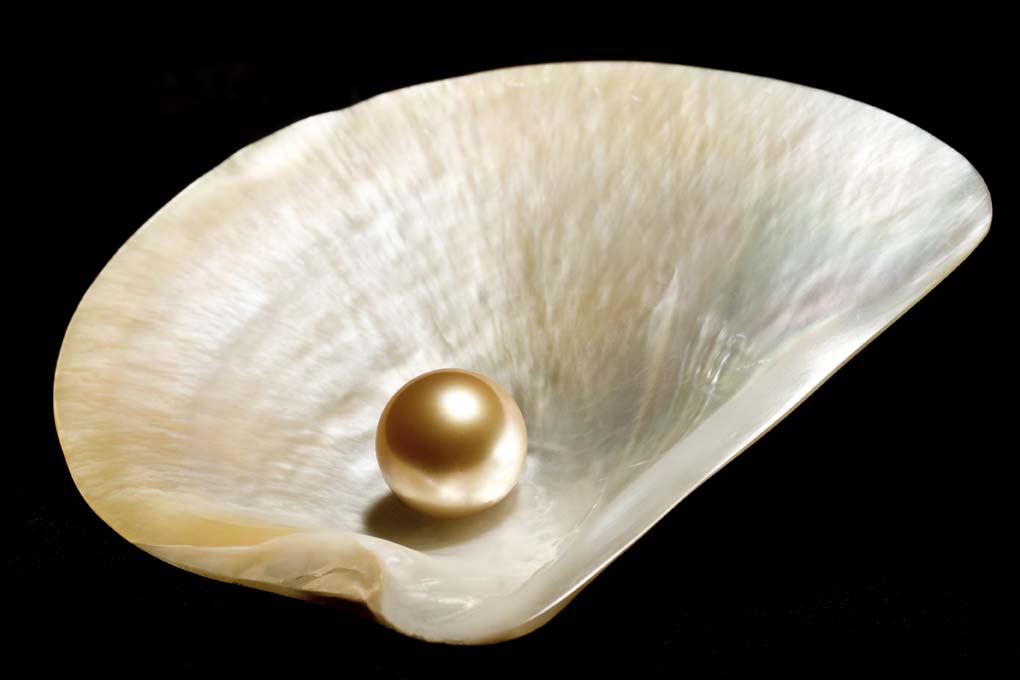 jna-jun-2011-pearl-JOC-jewellery-online-conference-Laperledor-2_cp.jpg