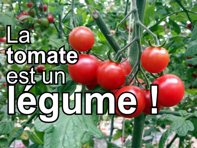 la_tomate_est_un_legume_t.jpg
