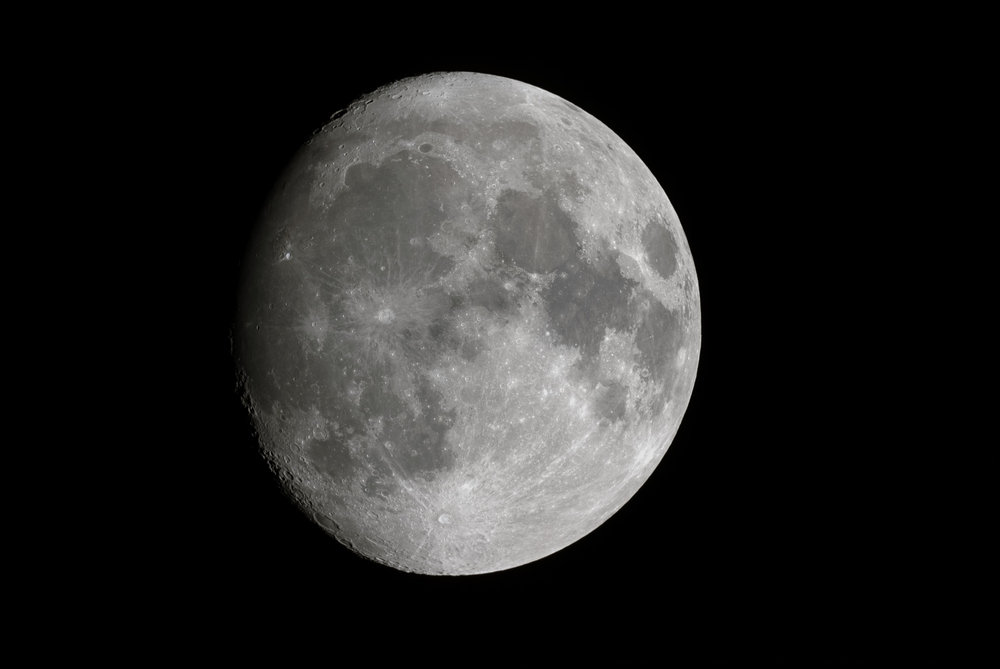 large.DSC00133_pipp_lapl4_ap265.jpg.d2c3