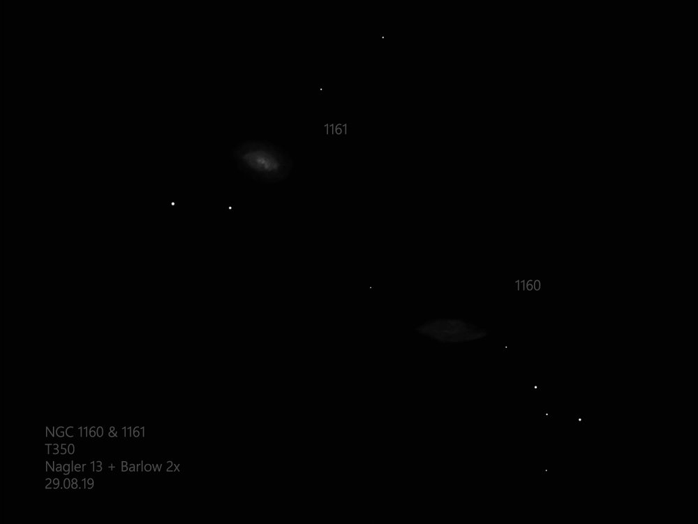 large.NGC1160-61_T350_19-08-29.jpg.2fad9deee94514d6019f27f351120c03.jpg