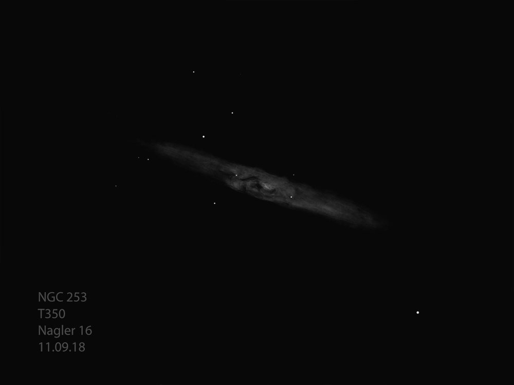 large.NGC253_T350_18-09-11.jpg.68820d67bada74c35deab2299d67dbd9.jpg